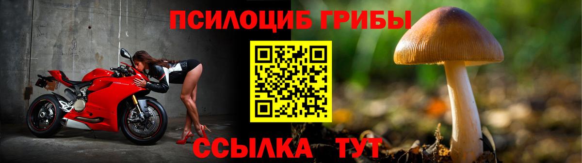 Петропавловск-Камчатский  Галлюциногенные грибы MAGIC MUSHROOMS  Вход с VPN  сколько стоит  Галлюциногенные грибы Cubensis 
